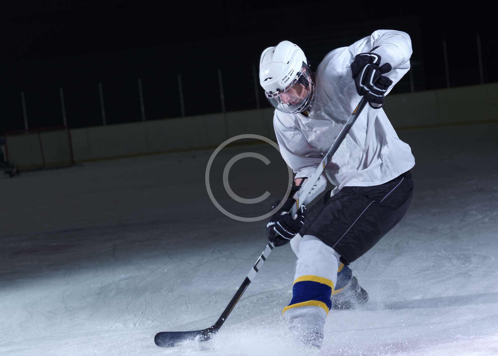 Intensive Goalie Camp